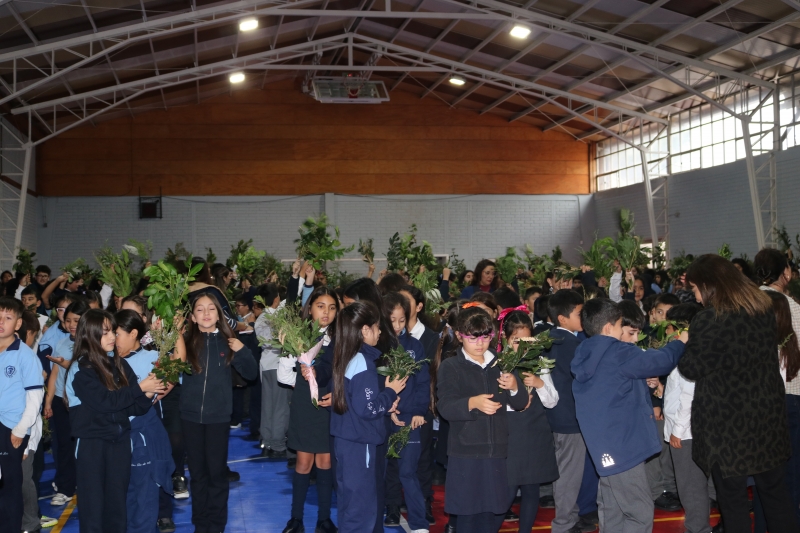 Celebración de Ramos